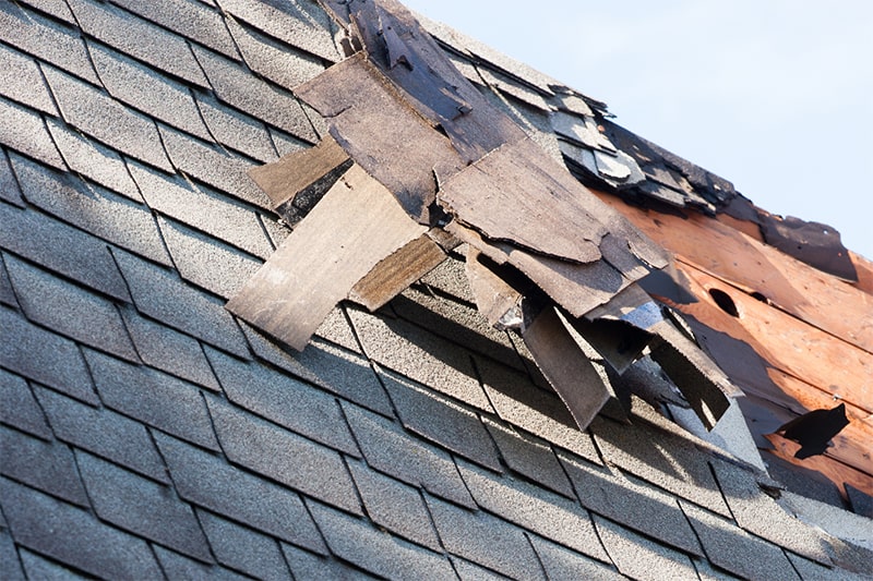 Damaged shingles on a roof, showing signs of wear and deterioration.